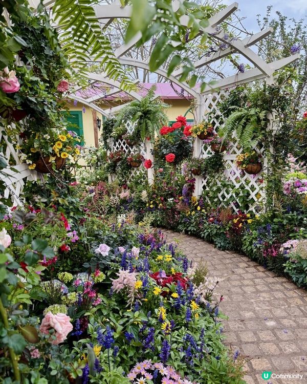 ♡深圳打卡好去處｜深業上城｜2025粵港澳大灣區花園大賽♡