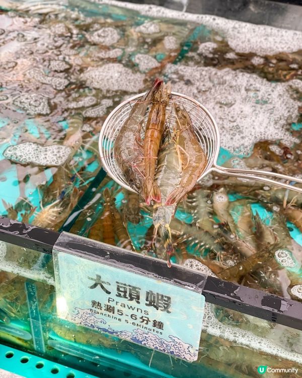 荃灣｜任食火鍋。千海水產海鮮火鍋放題