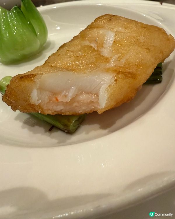 荃灣食飯新選擇🤩  超值中餐任你揀！