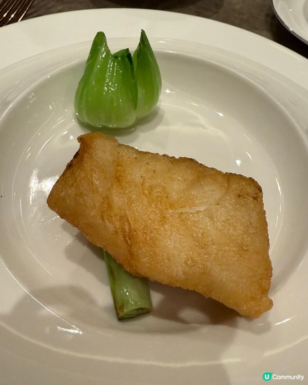 荃灣食飯新選擇🤩  超值中餐任你揀！