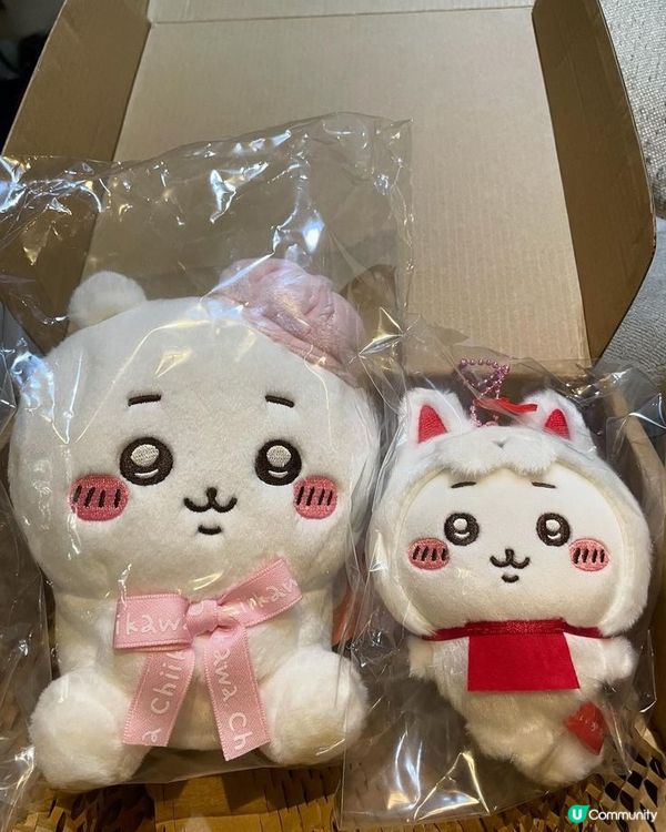 每次見到都好想買Chiikawa周邊產品，仲有好多朋友都話想...