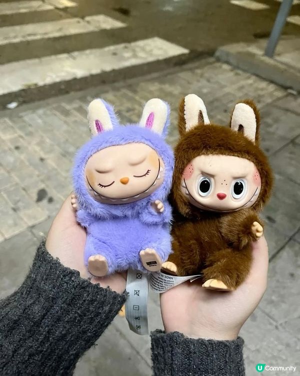 每個人都話Labubu 可愛 邊個唔同意