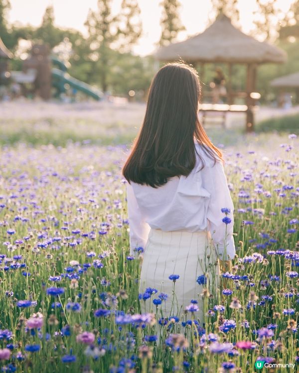 搵黑白大廚之旅開始