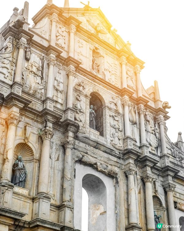 澳門這個卡皮巴拉￼養殖地真的很好拍