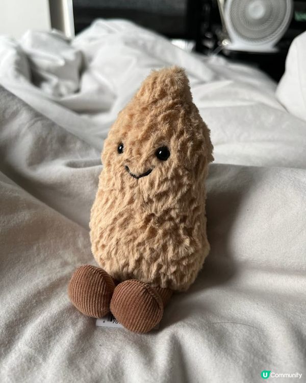 見到Jellycat啲毛公仔，心都熔化咗💕。無論係兔仔🐰定龍...