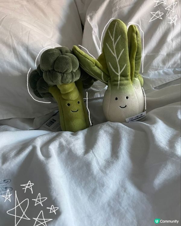 Jellycat兔仔🐰同花生仔，買邊隻好？好難揀啊~~~🥳...
