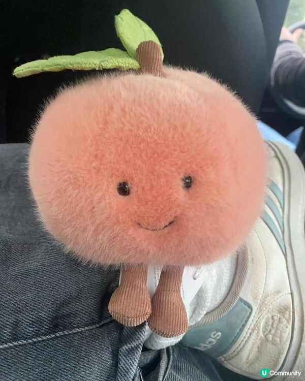 Jellycat匙扣係咪太犯規？😍隻隻都靚到令人忍唔住想集齊...