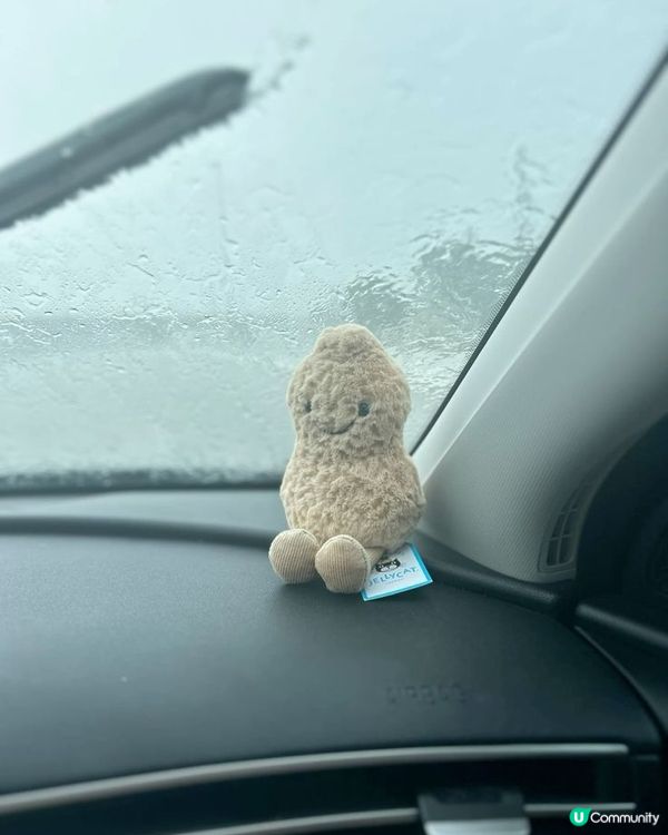 見到Jellycat新款匙扣✨，荷包又危險咗！💸 小小一隻但...