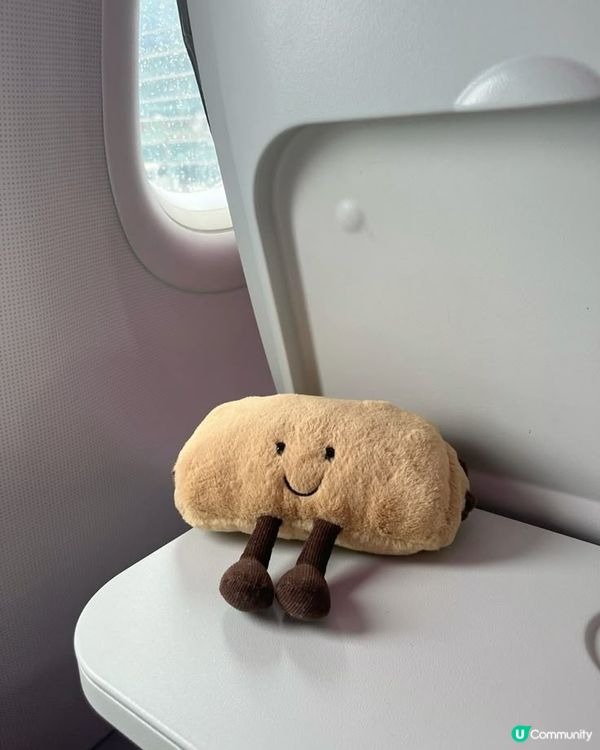 Jellycat公仔一隻點夠？🤔 話要多幾隻先夠滿足！😊