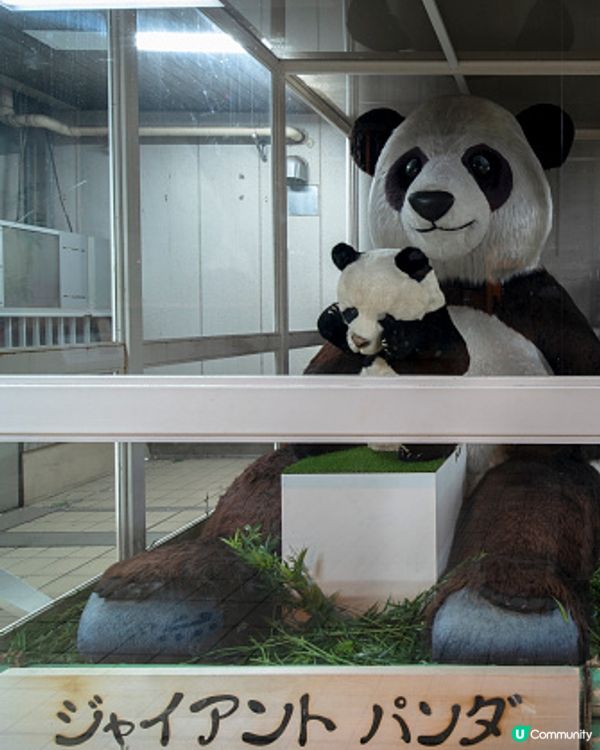 最愛東京去邊都方便