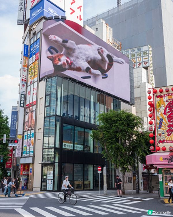 發現去東京已經唔使準備行程～～