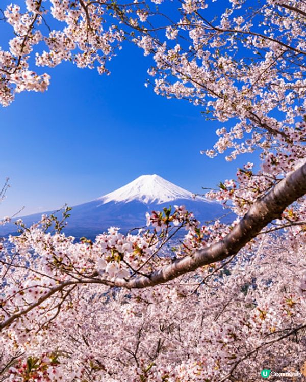 富士山的景色讓人心醉，回味無窮！