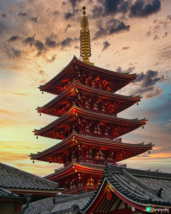 人多到似行花市的行程來了～