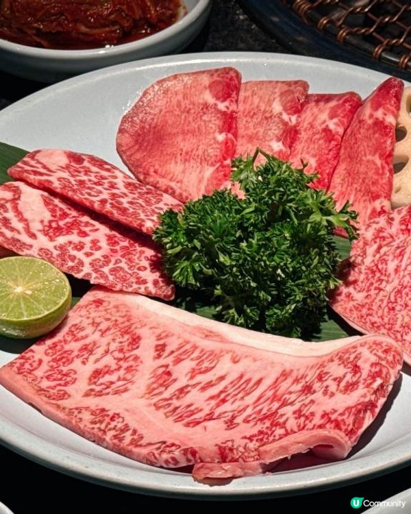 銅鑼灣【柞木炭家】專人協助韓烤 嘆高質烤肉