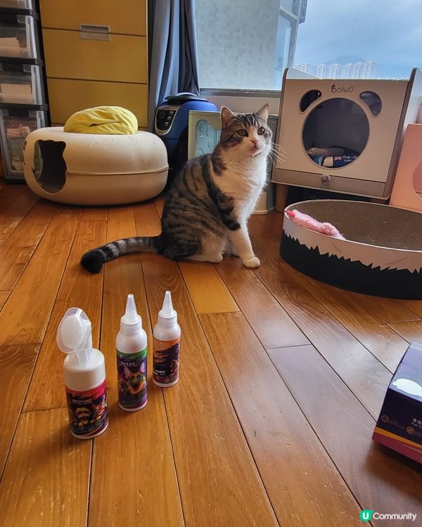 PET PET 洗護套裝