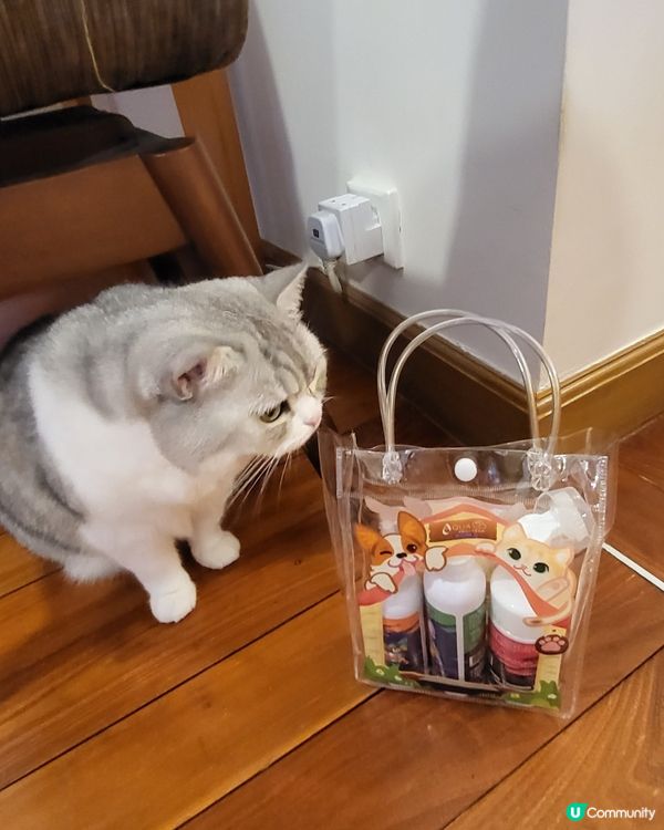 PET PET 洗護套裝