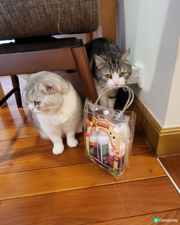 PET PET 洗護套裝