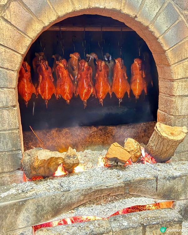 深圳必食北京烤鴨🦆 金鴨季正宗味！