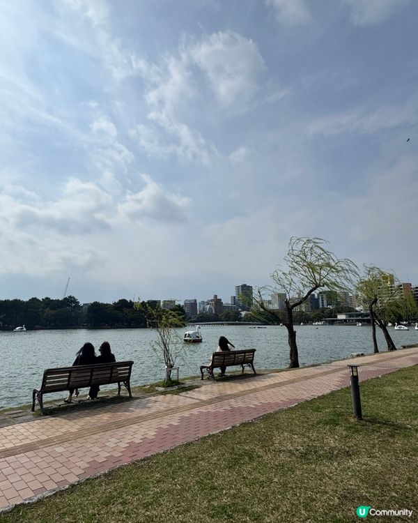 福岡大濠公園賞櫻🌸