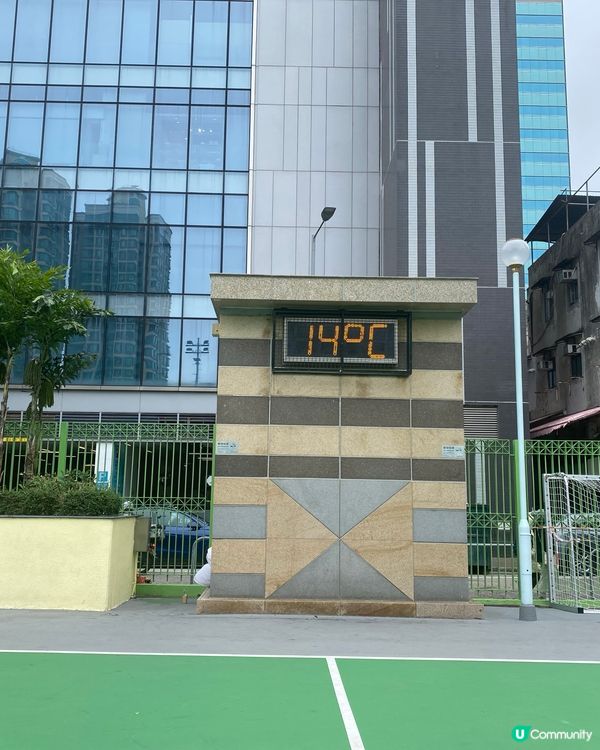 春天嚟啦，但係仲好凍！有棵樹幾靚😊