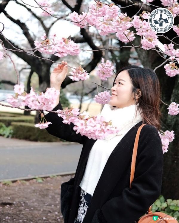 東京賞櫻🌸新宿御苑必去！70種櫻花任你睇！