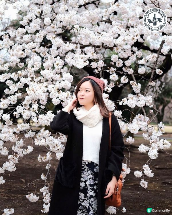 東京賞櫻🌸新宿御苑必去！70種櫻花任你睇！