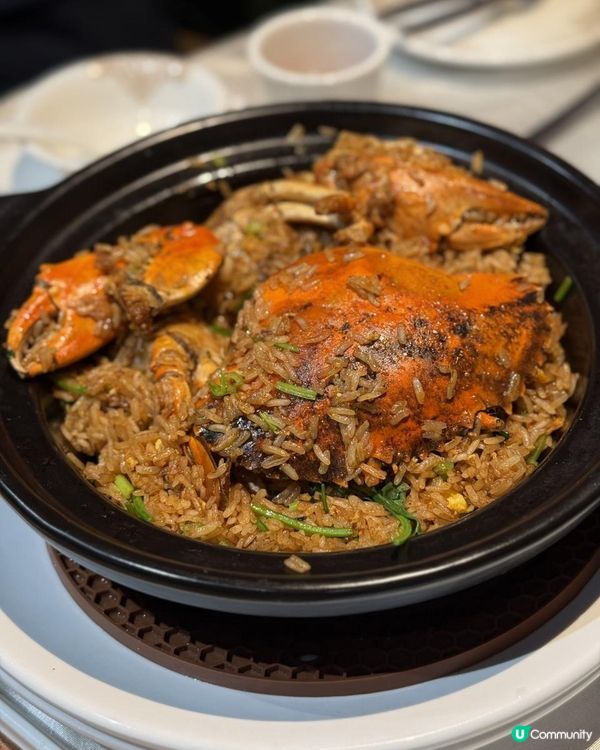 💫黑色燒鵝你食過未?