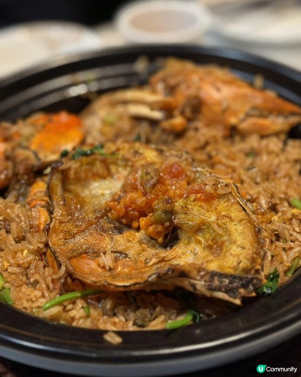 💫黑色燒鵝你食過未?