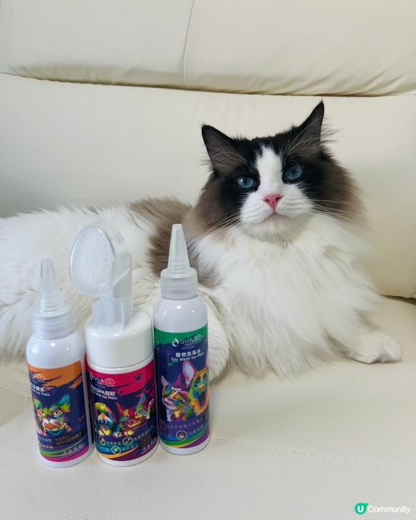 主子耳仔眼仔手掌都重要！👂👁️🐾  洗護套裝幫你搞掂！