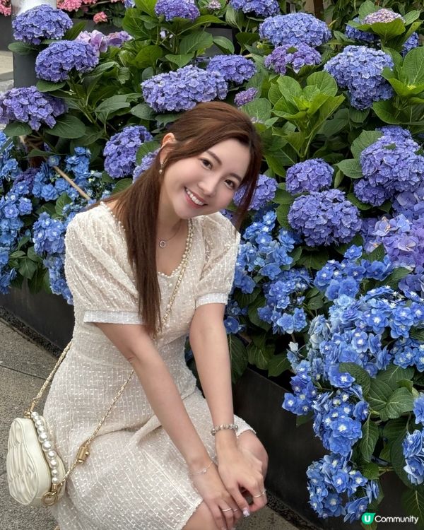 不用飛濟州也能拍到超美的藍色繡球花 🩵💙🤍