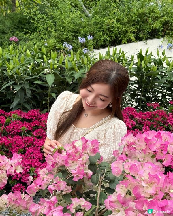 不用飛濟州也能拍到超美的藍色繡球花 🩵💙🤍