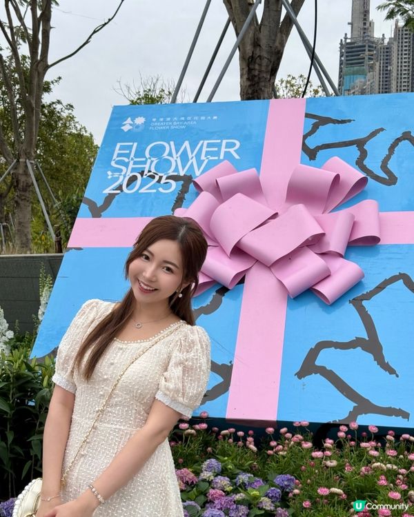 不用飛濟州也能拍到超美的藍色繡球花 🩵💙🤍