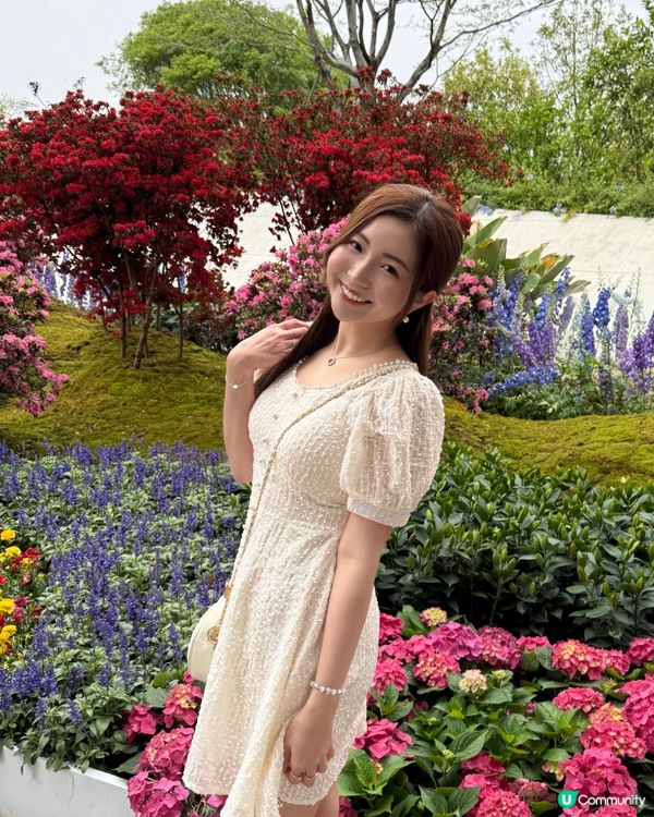 不用飛濟州也能拍到超美的藍色繡球花 🩵💙🤍