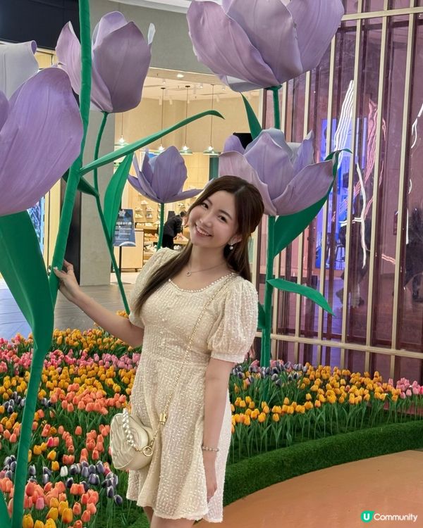 不用飛濟州也能拍到超美的藍色繡球花 🩵💙🤍