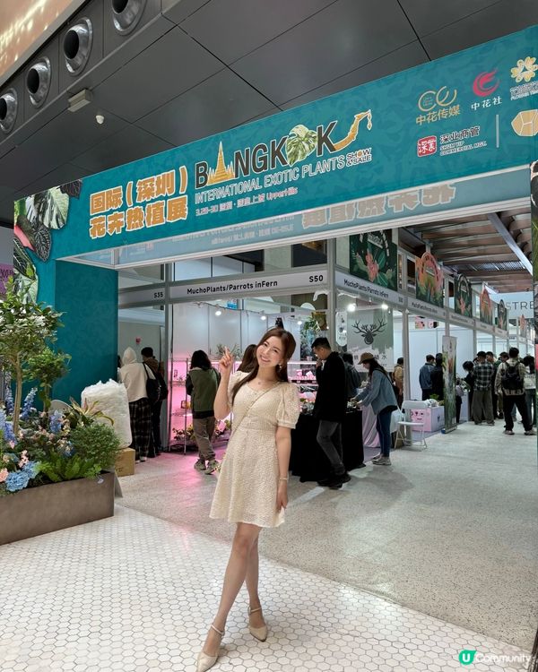 不用飛濟州也能拍到超美的藍色繡球花 🩵💙🤍