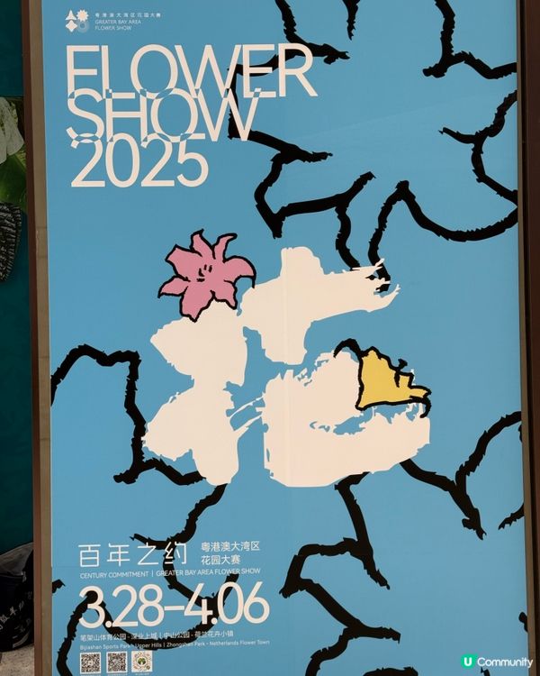 不用飛濟州也能拍到超美的藍色繡球花 🩵💙🤍