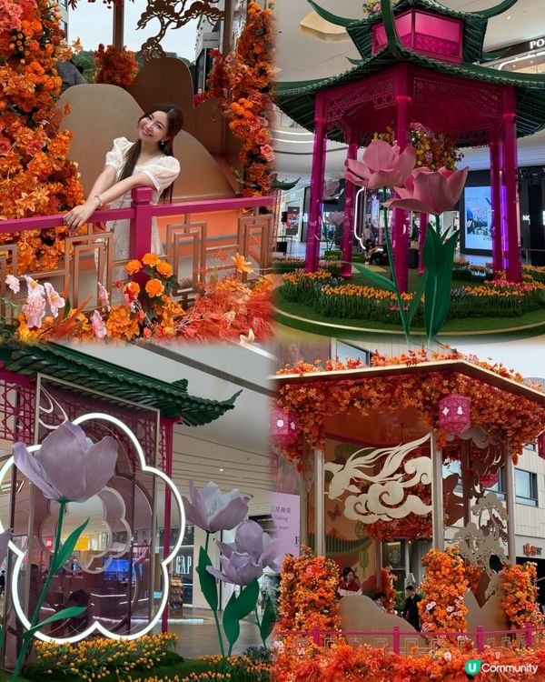 不用飛濟州也能拍到超美的藍色繡球花 🩵💙🤍