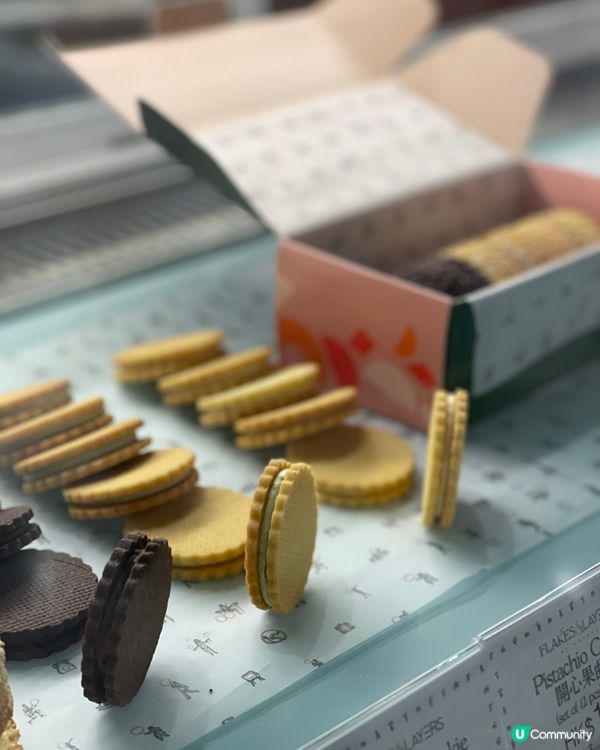 名模Amanda S. x city’super 期間限定店