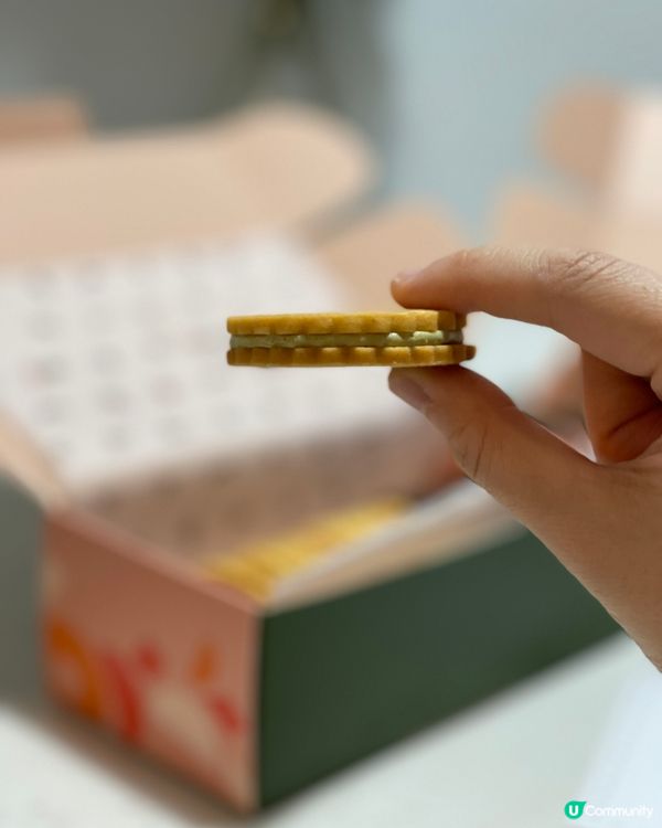 名模Amanda S. x city’super 期間限定店