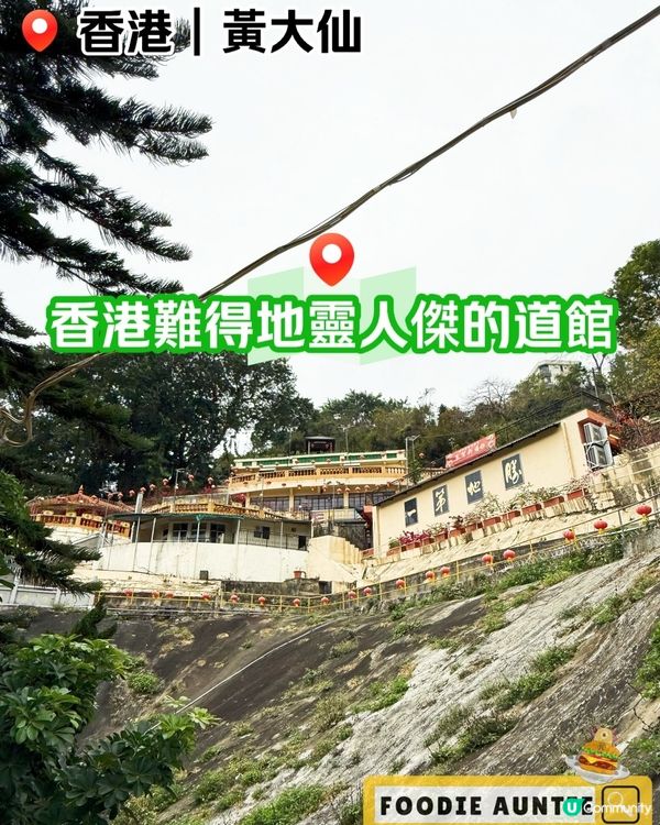 👽 食神大媽《香港｜碩果僅存人傑地靈好地方》