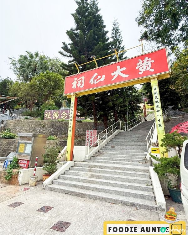 👽 食神大媽《香港｜碩果僅存人傑地靈好地方》