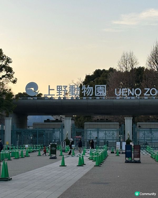 🇯🇵東京上野輕輕鬆鬆一日遊建議？🐼