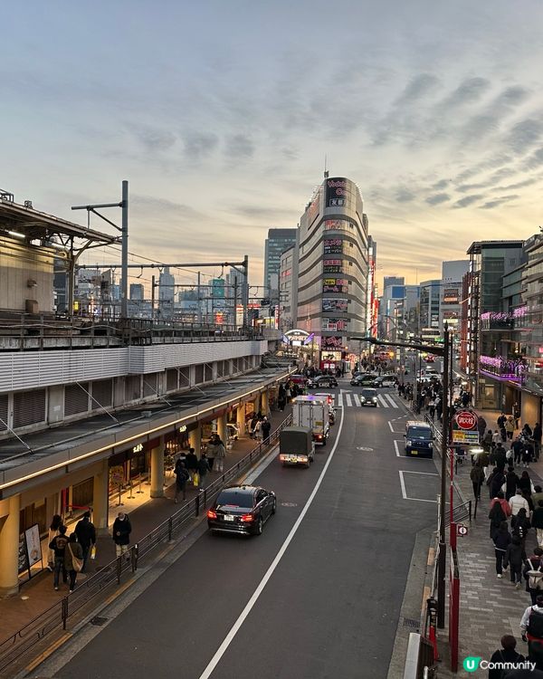 🇯🇵東京上野輕輕鬆鬆一日遊建議？🐼