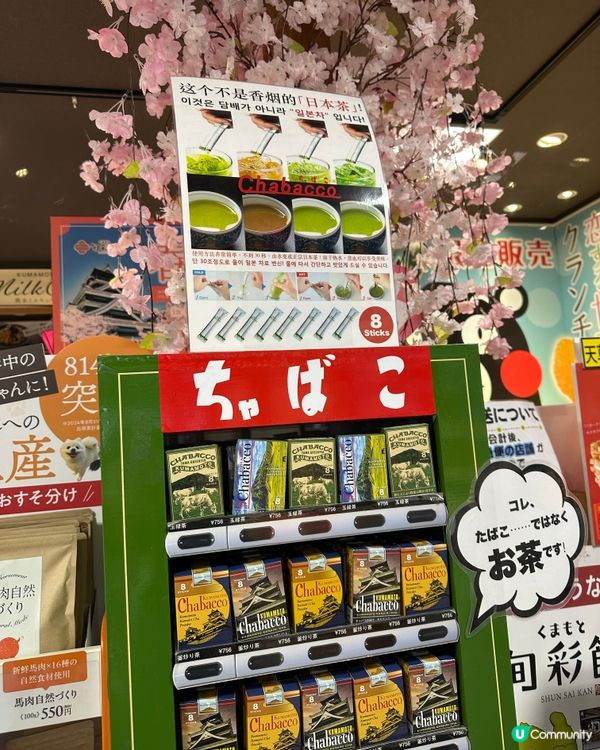 熊本掃貨攻略 🛒  慳錢之旅