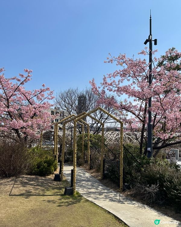 熊本掃貨攻略 🛒  慳錢之旅