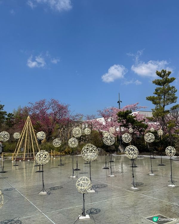 熊本掃貨攻略 🛒  慳錢之旅