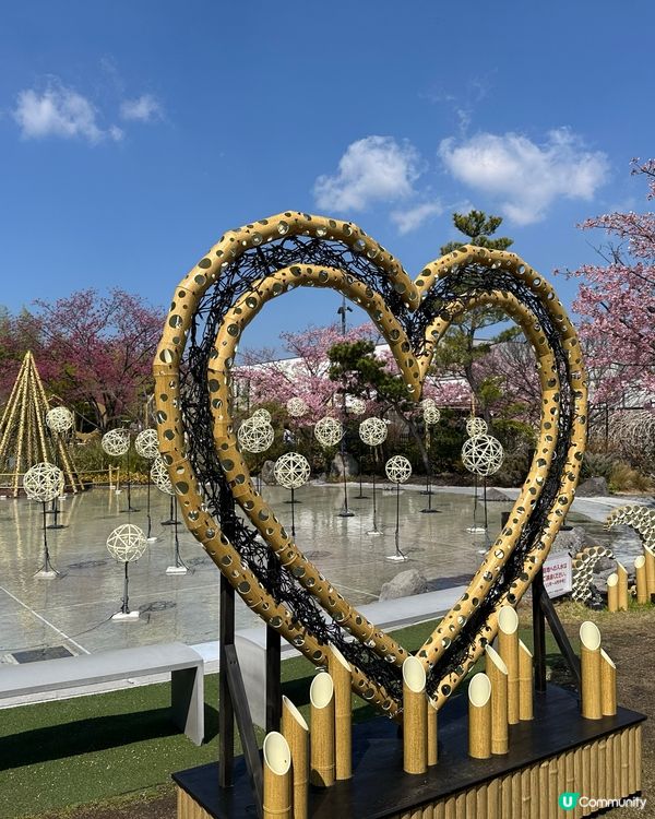 熊本掃貨攻略 🛒  慳錢之旅