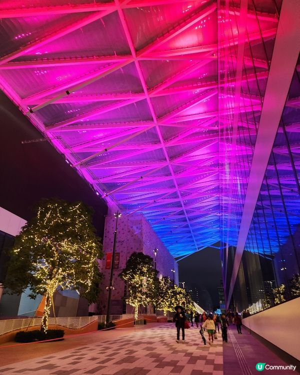 🌈夜遊體育園🏈