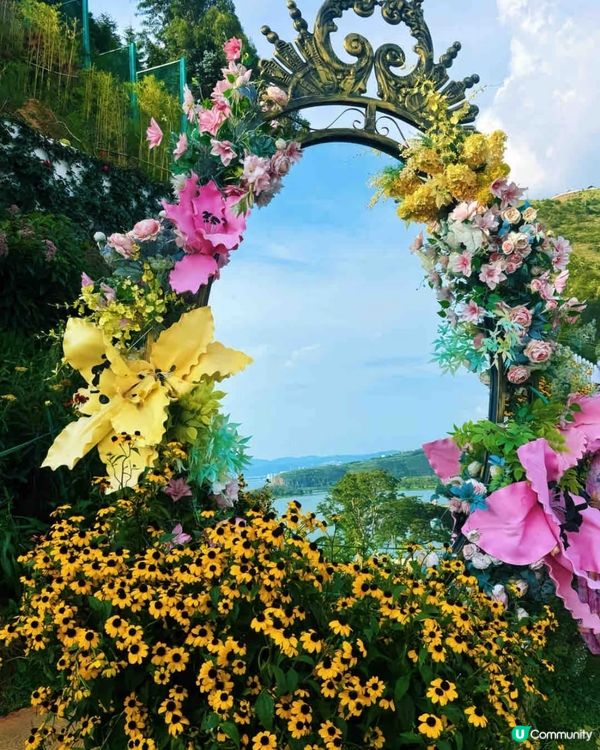 大理童話世界，打卡不停📸✨