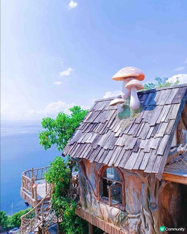 大理童話世界，打卡不停📸✨